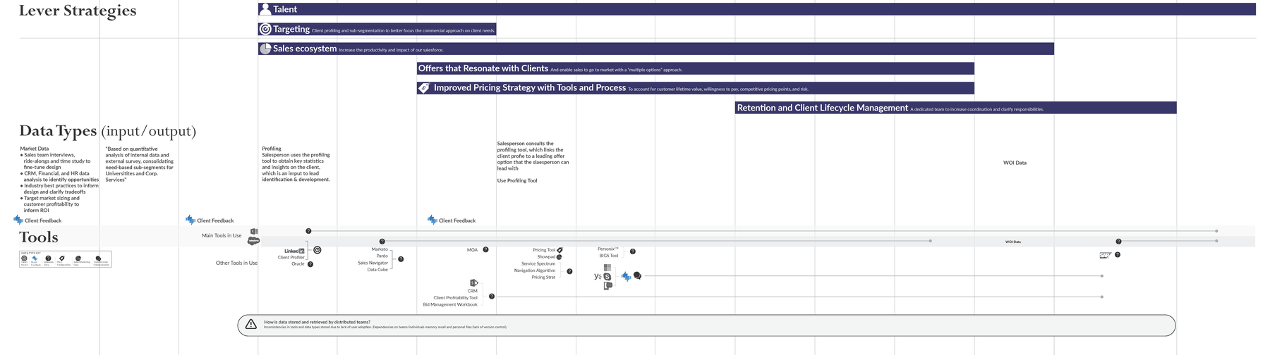 Lever strategies for Sodexo Acceler8: targeting, pricing, offers, retention, and talent, rendered as a single surface for leadership to sequence transformation investments against each other.